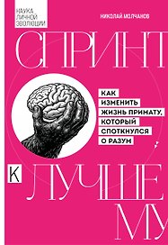 Спринт к лучшему. Как изменить жизнь примату, который споткнулся о разум