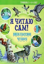 Внеклассное чтение