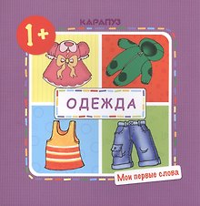 Одежда