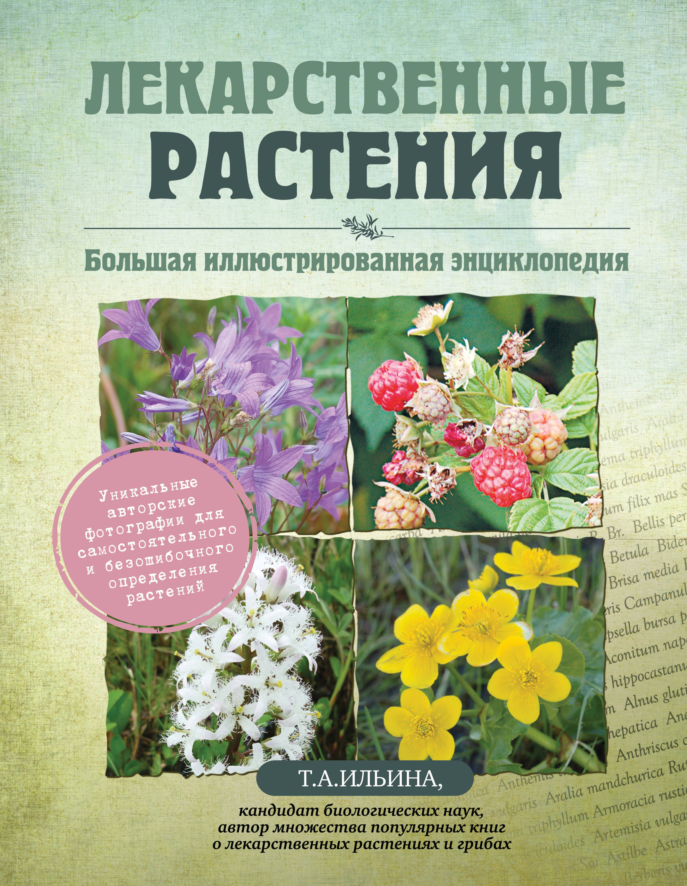 Лекарственные растения. Большая иллюстрированная энциклопедия
Лекарственные растения. Большая иллюстрированная энциклопедия