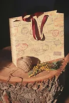 Пакет "Почтовый экспресс", 25x23x8