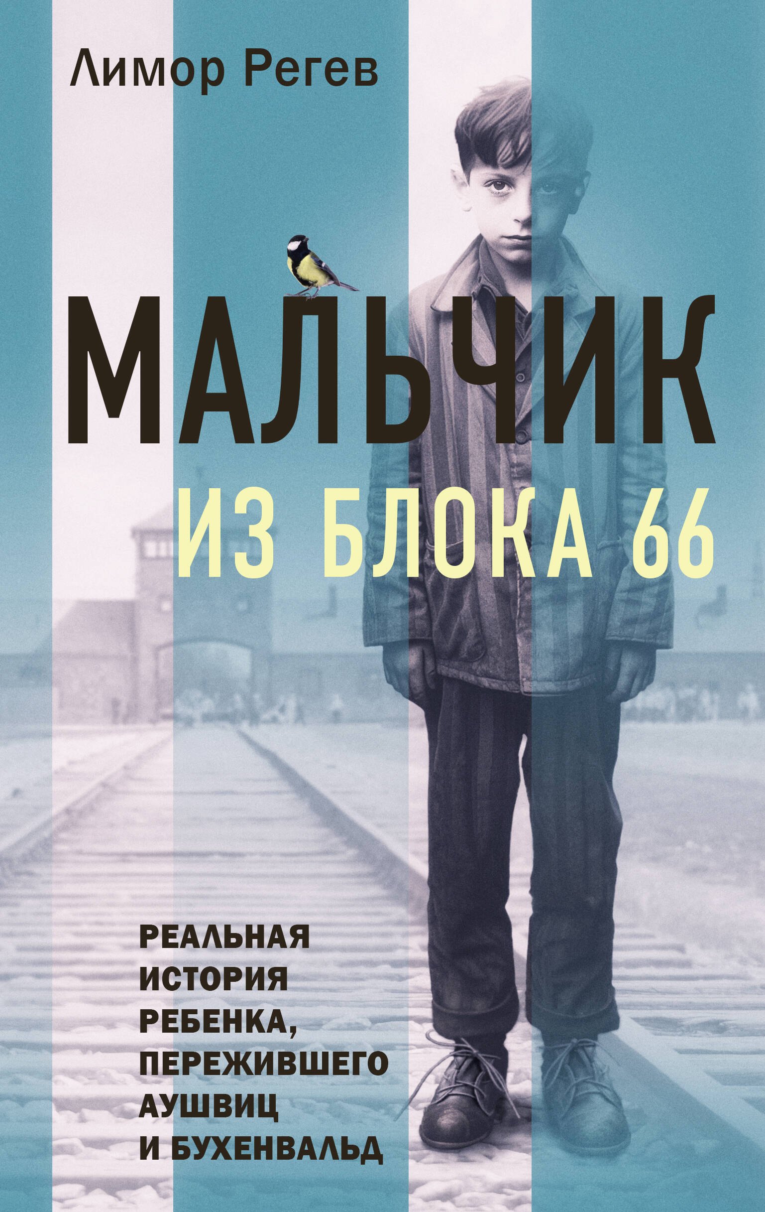 Мальчик из Блока 66: реальная история ребенка, пережившего Аушвиц и Бухенвальд
Мальчик из Блока 66: реальная история ребенка, пережившего Аушвиц и Бухенвальд