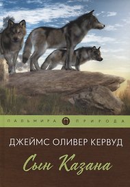 Сын Казана: повесть