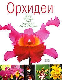 Орхидеи