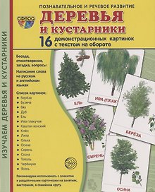 Дем. картинки СУПЕР Деревья и кустарники.16 демонстр.картинок с текстом(173х220мм)