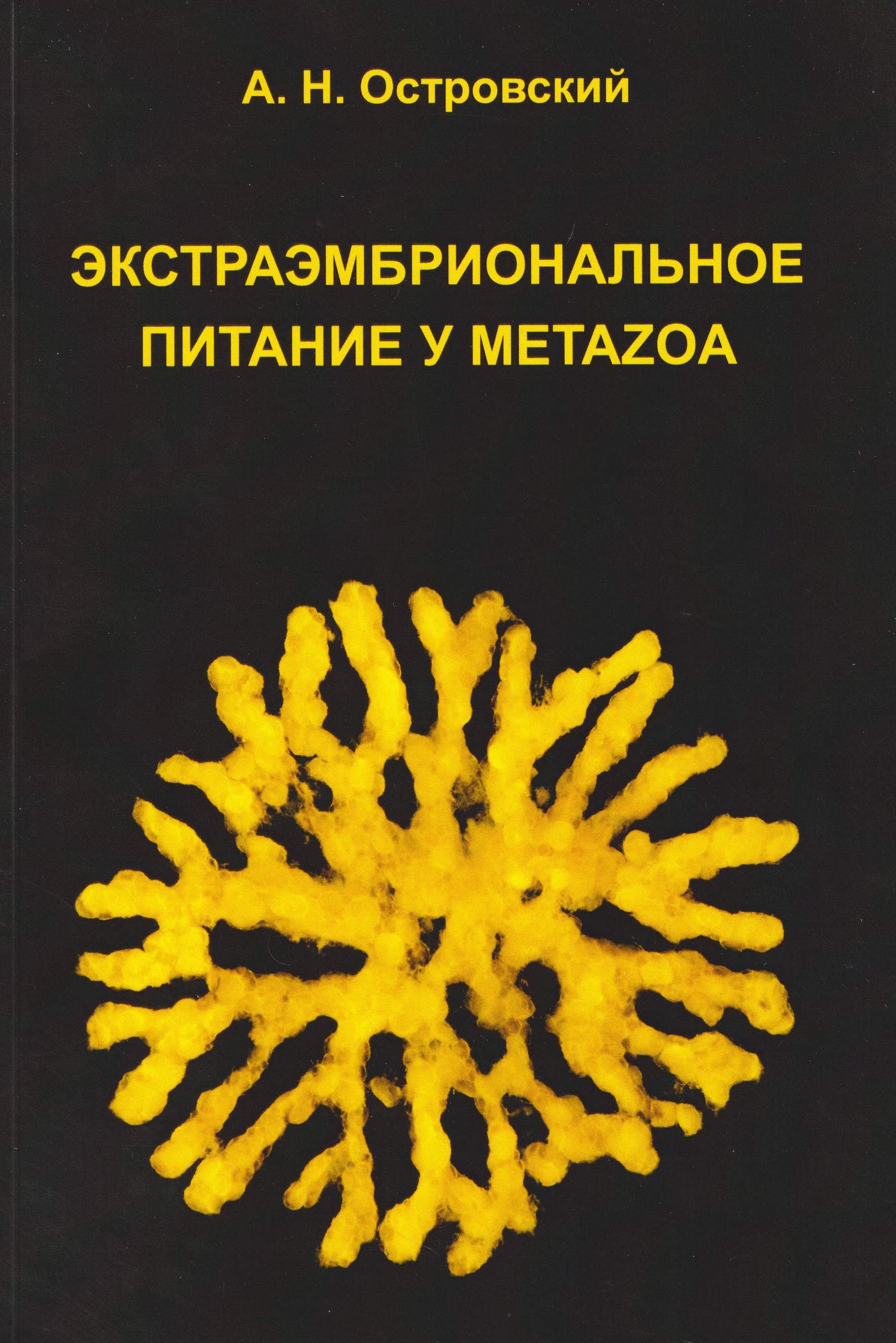 Экстраэмбриональное питание у Metazoa
Экстраэмбриональное питание у Metazoa