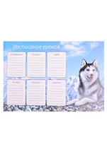 Расписание уроков А4 "ХАСКИ"