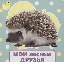 ЦК 145х145. МОИ ЛЕСНЫЕ ДРУЗЬЯ