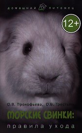 Морские свинки : правила ухода