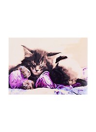 Картина-раскраска по номерам «Спящие пушистые друзья», 30 х 40 см, Рыжий Кот