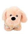 Мягкая игрушка Собачка бежевая в кофточке (21см) (12-202603-MSHN10_0960-D-642)