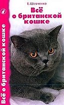 Все о британской кошке