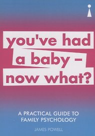 A Practical Guide to Family Psychology: You've had a baby - now what?