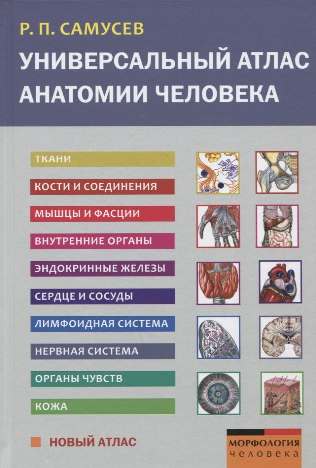 Универсальный атлас анатомии человека. Учебное пособие для студентов медицинских учебных заведений
Универсальный атлас анатомии человека. Учебное пособие для студентов медицинских учебных заведений