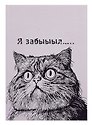 Книга для записей «Я забыыыл…», А5, 128 листов, Listoff