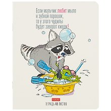 Тетрадь общая «Прикольный Енот», 48 листов в клетку, A5, в ассортименте - Hatber