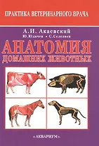 Анатомия домашних животных