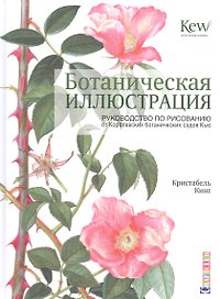 Ботаническая иллюстрация: руководство по рисованиюот Королевских ботанических садов Кью