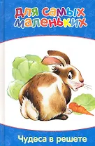 Чудеса в решете