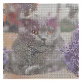 Алмазная мозаика (классическая) с подрамником, с полным заполнением, с квадратными стразами "Важный кот", 20 х 20 см