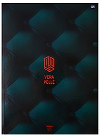 Книга для записей А4 "Vera pelle", 120 л.