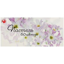 Пастель сухая, 60 цветов