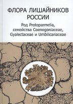 Флора лишайников России: Род Protoparmelia, семейства Coenogoniaceae, Gyalectaceae и Umbilicariaceae (+CD)