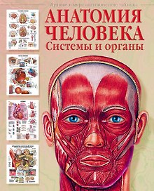 Атлас анатомии человека. Системы и органы