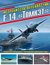 Истребитель-перехватчик F-14 «Томкэт». «Рабочая лошадка» палубной авиации США