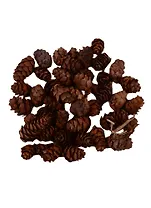 Шишка мелкая 50гр. орр с хедером