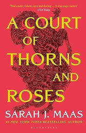 A Court of Thorns and Roses Sarah J. Maas Королевство шипов и роз Сара Дж Маас / Книги на английском языке