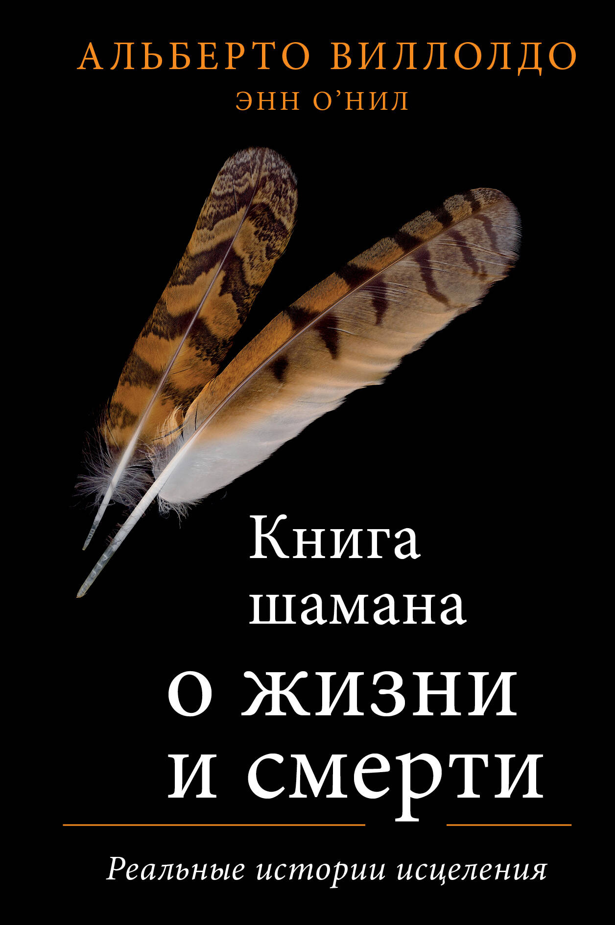 Книга шамана о жизни и смерти. Реальные истории исцеления
Книга шамана о жизни и смерти. Реальные истории исцеления