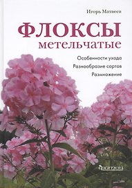 Флоксы метельчатые. Особенности ухода. Разнообразие сортов. Размножение