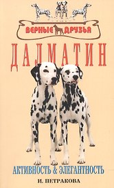 Далматин. Активность и элегантность