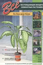 Все об очищающих воздух комнатных растениях