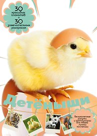 Детёныши: плакаты и раскраски