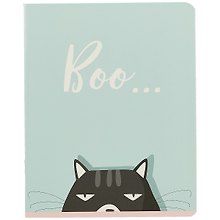 Тетрадь общая «Игривый кот», 48 листов в клетку, А5, в ассортименте - Academy Style