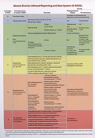 Шкала Ovarian-Adnexal Reporting and Data System (O-RADS)./Тактика ведения пациенток O-RADS 2 при типичных доброкачественных поражениях