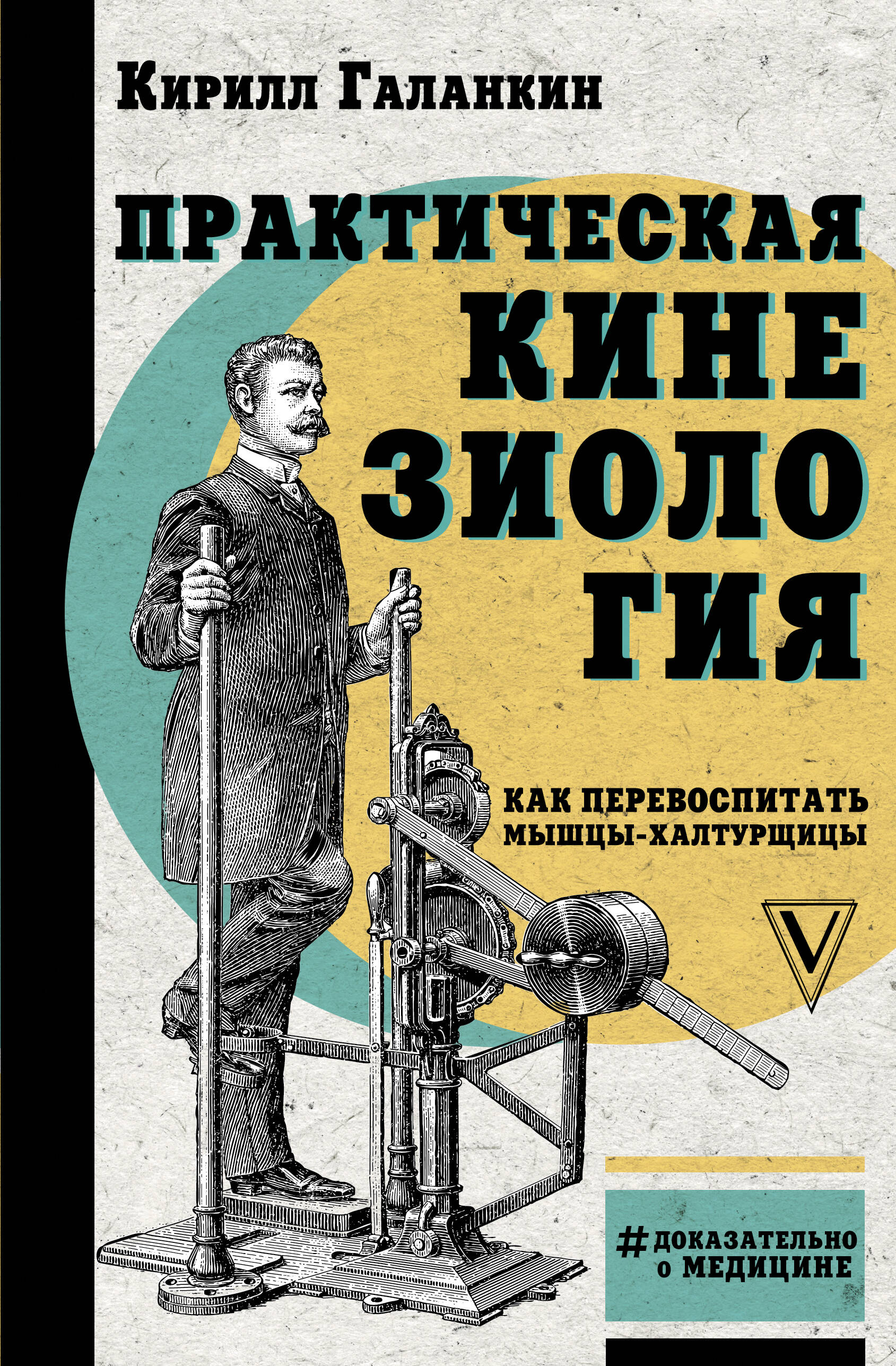 Практическая кинезиология: как перевоспитать мышцы-халтурщицы
Практическая кинезиология: как перевоспитать мышцы-халтурщицы