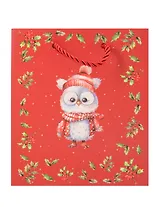 Пакет А5 23*18*10 "Совёнок" НГ, бум.мат.ламинат