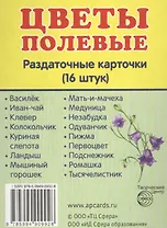 Демонстрационные картинки СУПЕР Цветы полевые.16 раздаточных карточек с текстом (63х87 мм)