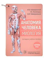 Анатомия человека. Миология. Карточки: наглядное учебное пособие (33 двусторонних карточки)
