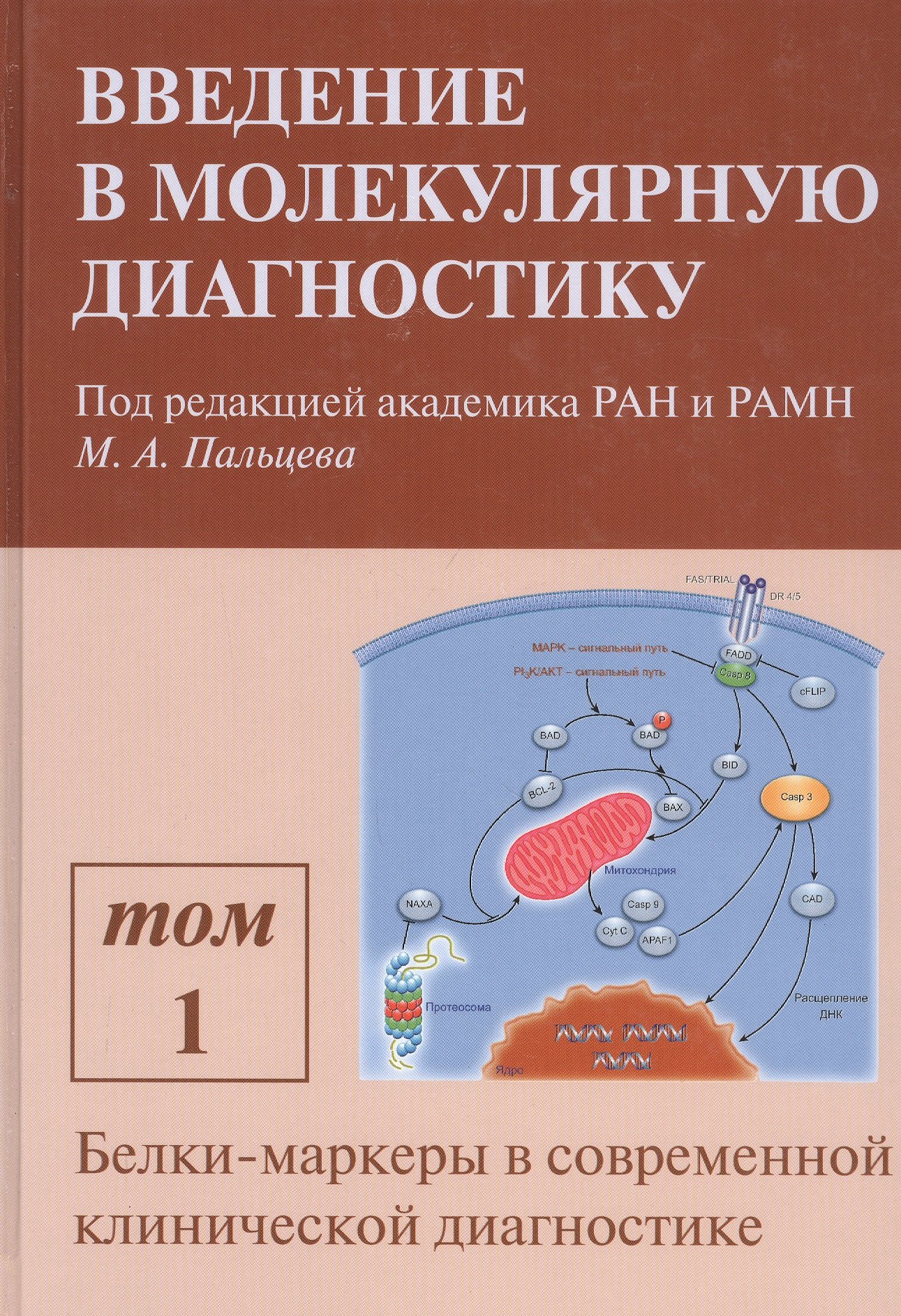 Введение в молекулярную диагностику. В двух томах. Том 1. Белки-маркеры в современной клинической диагностике. Учебно-методическое пособие
Введение в молекулярную диагностику. В двух томах. Том 1. Белки-маркеры в современной клинической диагностике. Учебно-методическое пособие