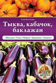 Тыква, кабачок, баклажан