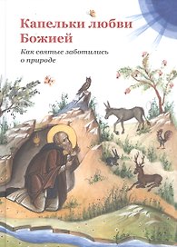 Капельки любви Божией. Как святые заботились о природе
