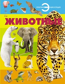 Животные.