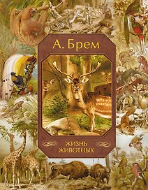 Жизнь животных