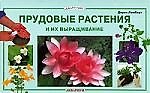 Прудовые растения и их выращивание
