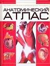Анатомический атлас: Основы строения и физиологии человека