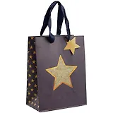 Пакет А5 23*18*10 "Золотая звезда" жен., бум.мат.ламинат